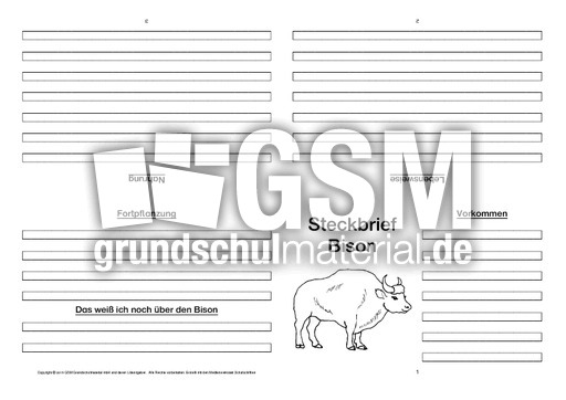 Bison-Faltbuch-vierseitig.pdf